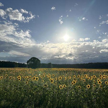 Apartament Urlaub Auf Dem Land Triepkendorf Zewnętrze zdjęcie