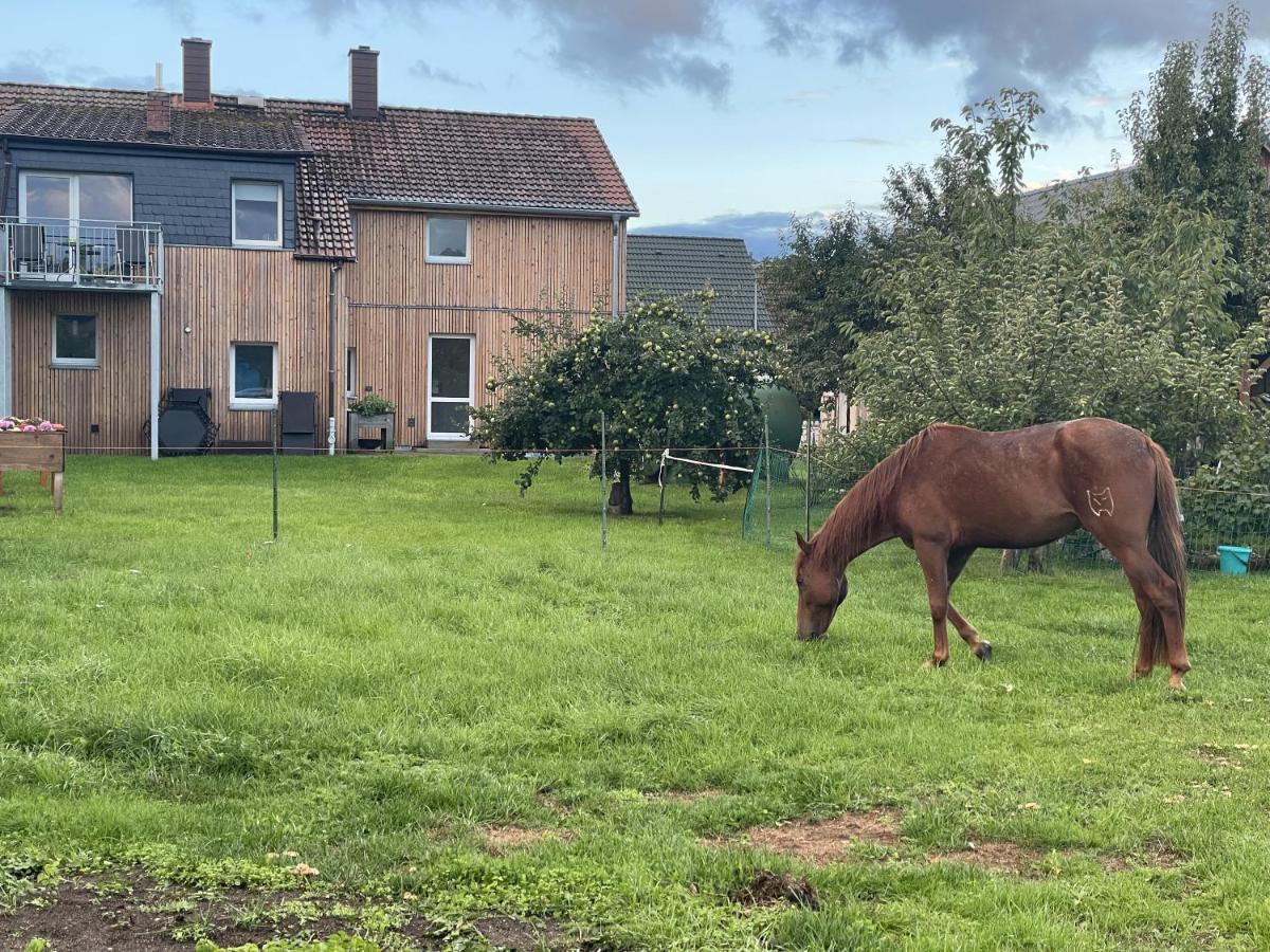 Apartament Urlaub Auf Dem Land Triepkendorf Zewnętrze zdjęcie